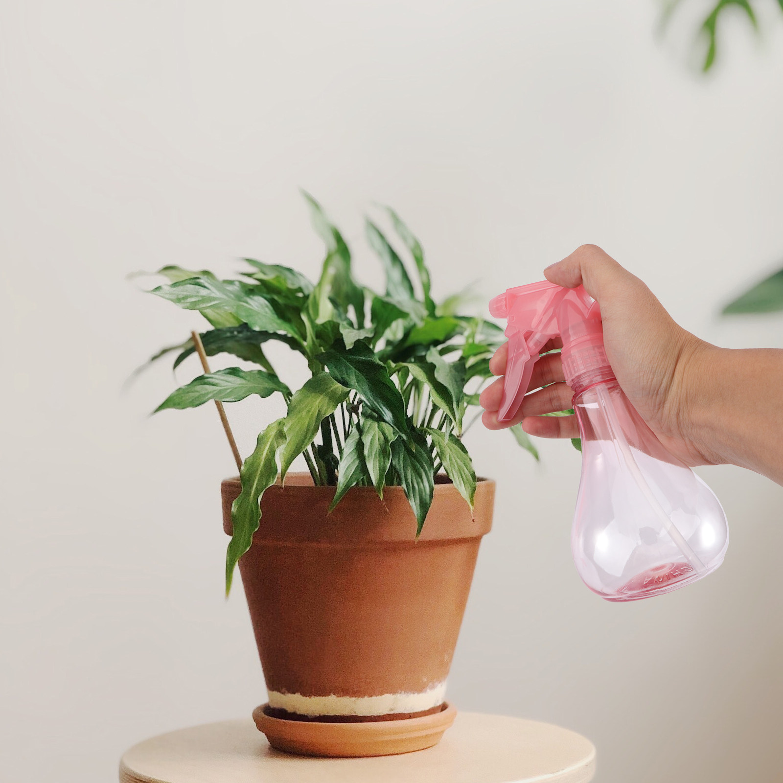 Succulent Set - 1 Set di Mini Attrezzi per
