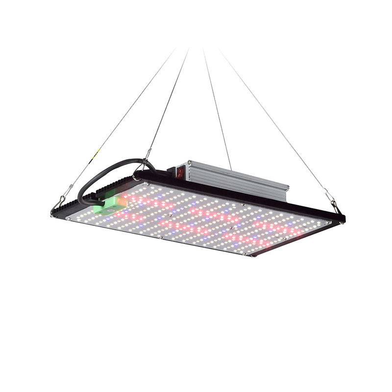 Indoor Plants - Lampada LED Quantum-Board per la Crescita
