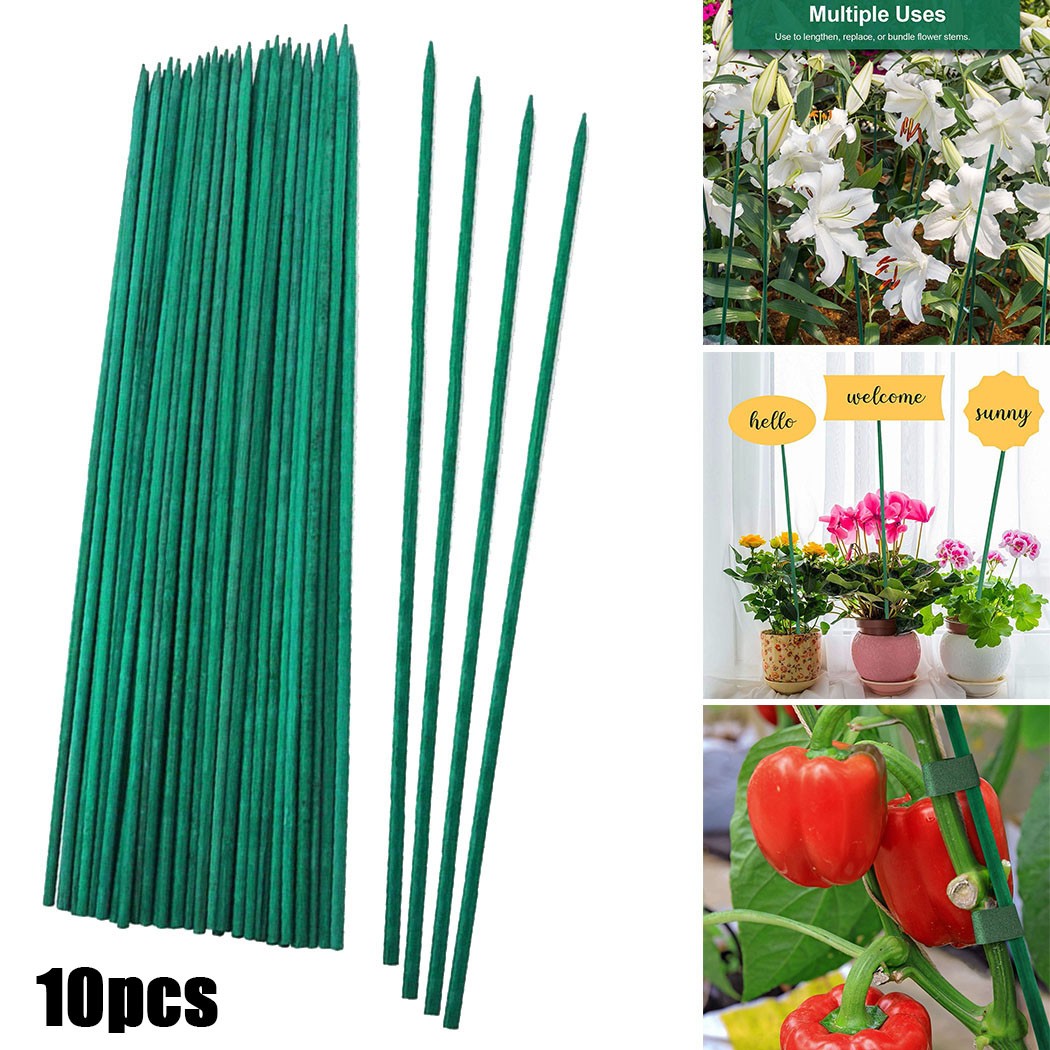 Plant Support Stake - 10pcs 40cm bastoncini di supporto per