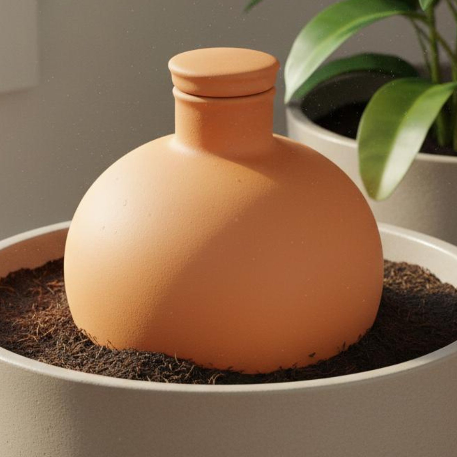 Terracotta Pot - 2 Pezzi Olla in Terracotta per