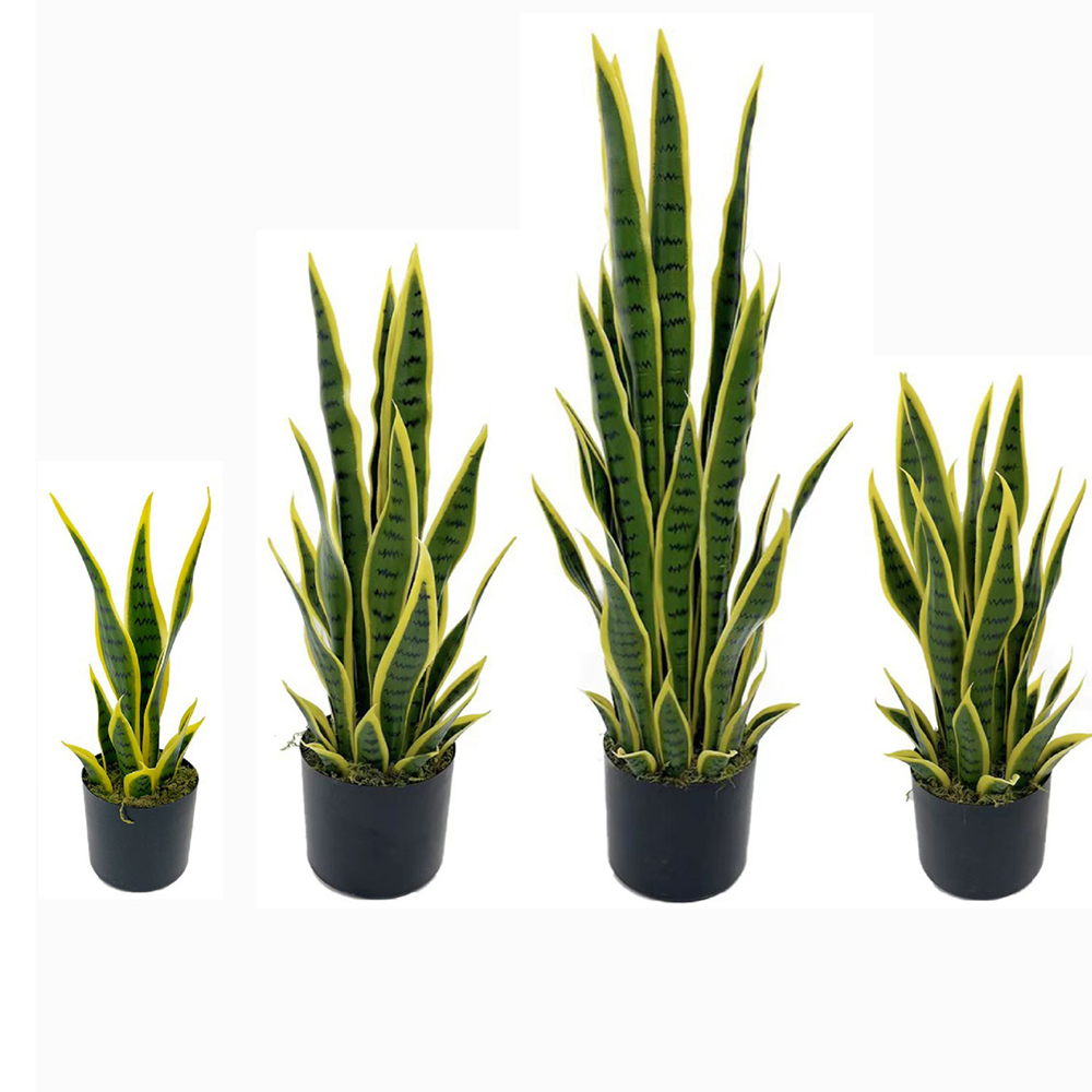 Snake Plant - Pianta Artificiale Sansevieria (Serpentina) 40-100cm con