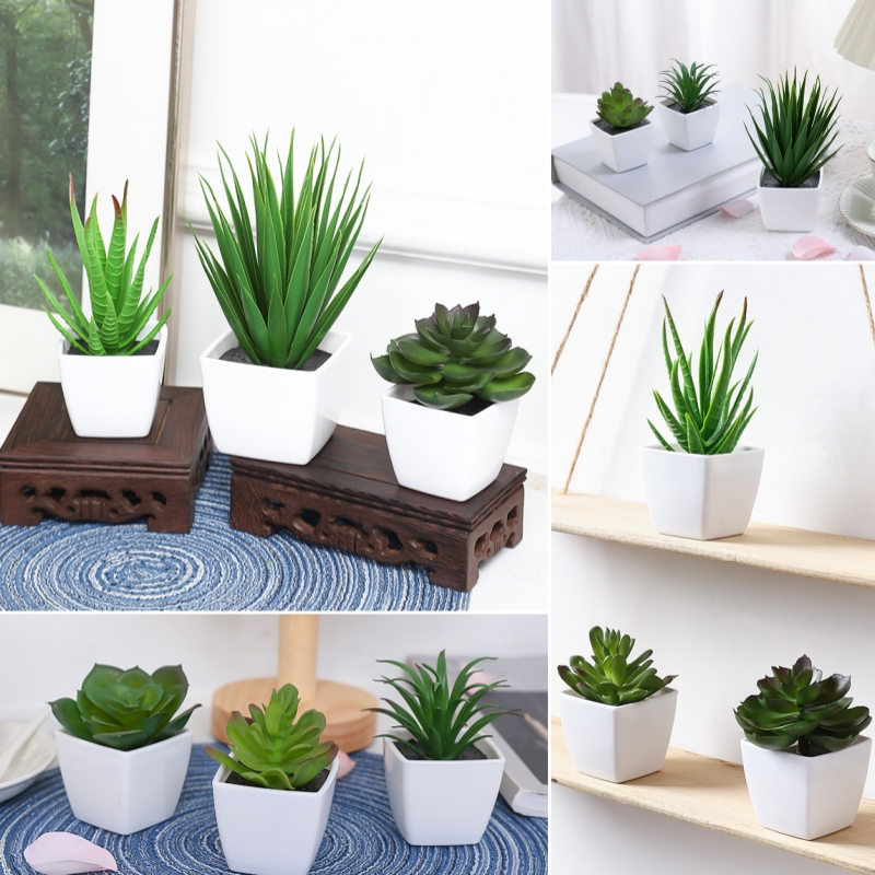 Succulent Set - (U set di 3 pezzi) Mini