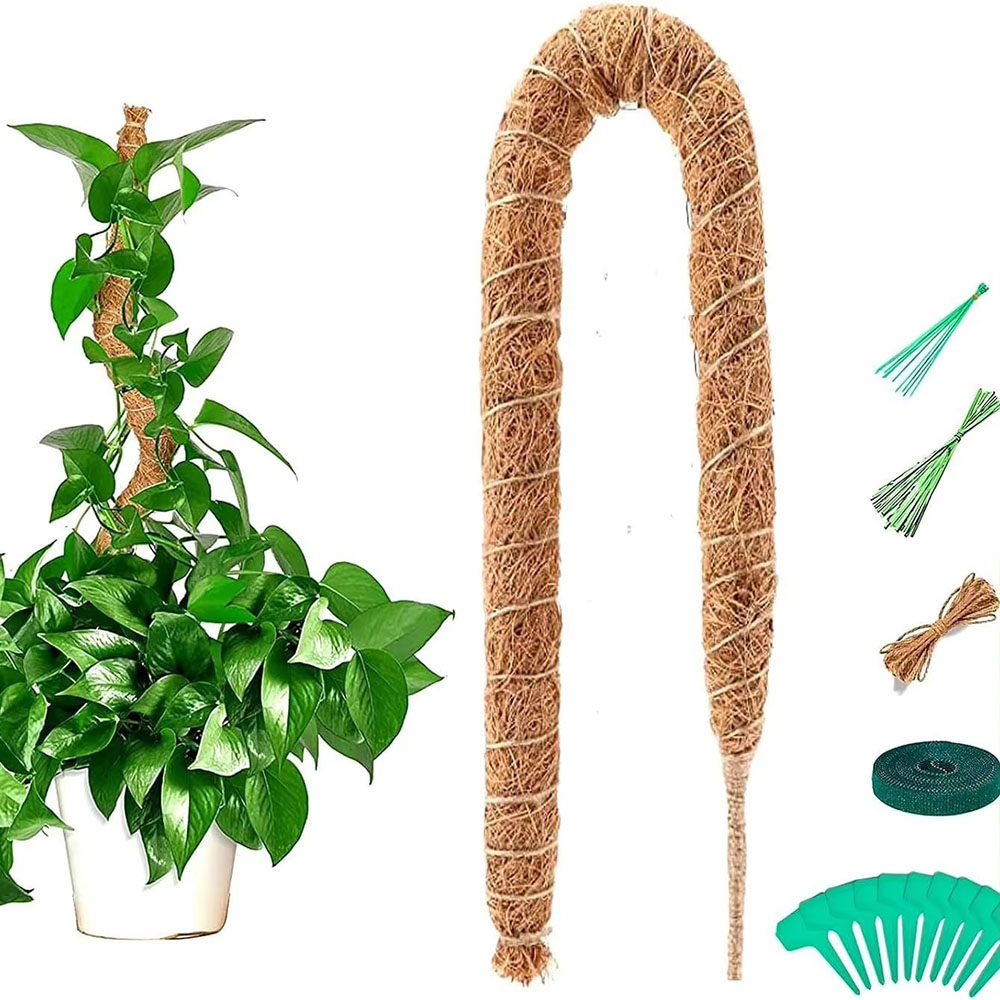 Pothos - Supporto per Piante Rampicanti in Fibra