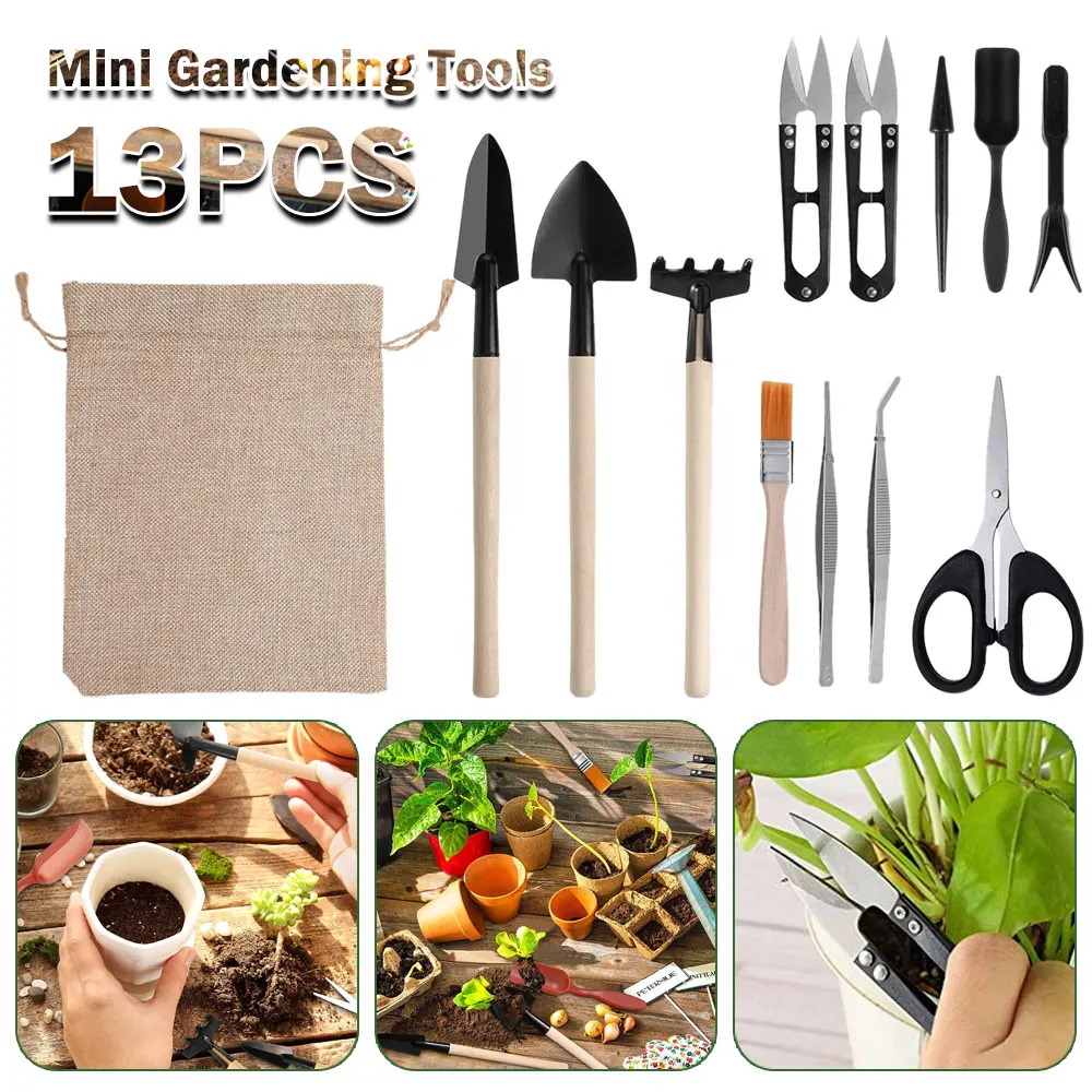 Succulent Set - Set di attrezzi per piante succulente