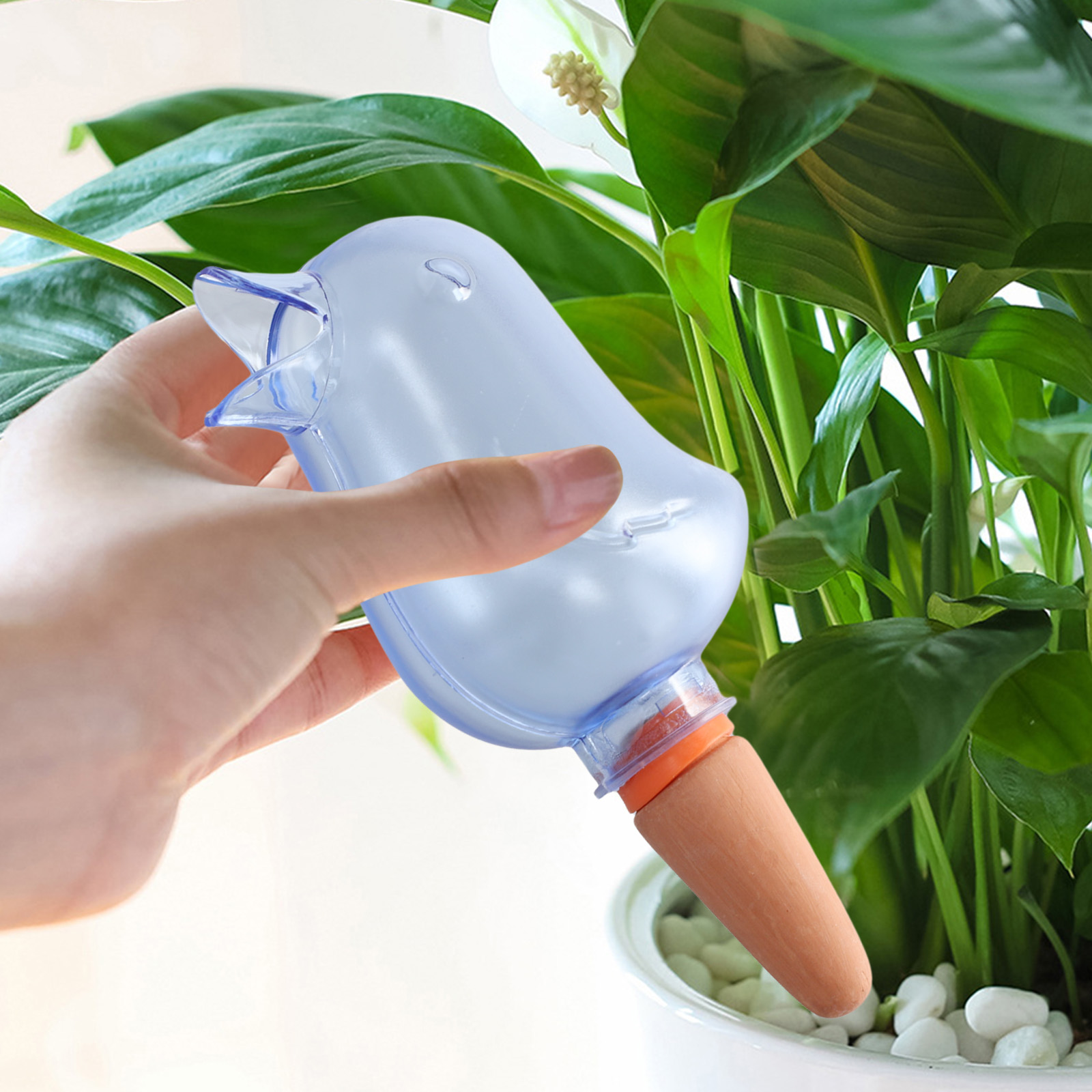 Pothos - Sistema automatico di irrigazione a goccia