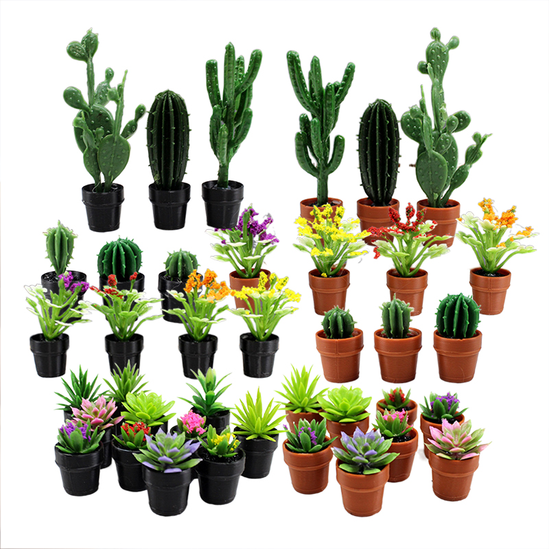 Succulent Set - 8 pezzi di piccole piante in