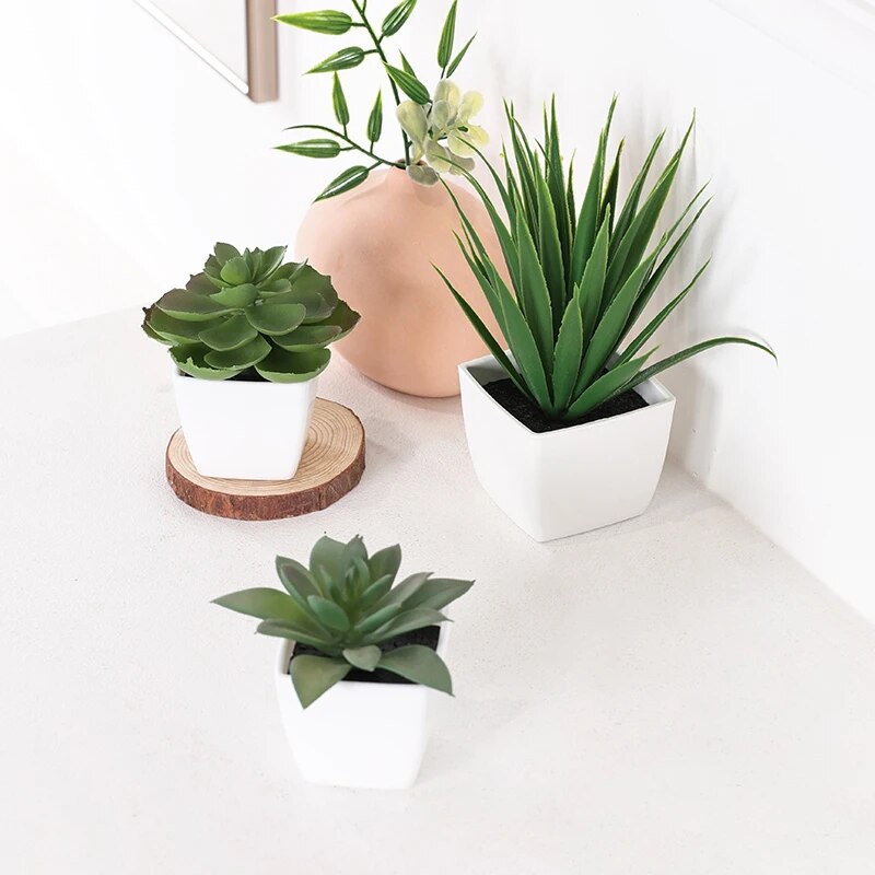 Succulent Set - Bonsai di piante sempreverde artificiali da