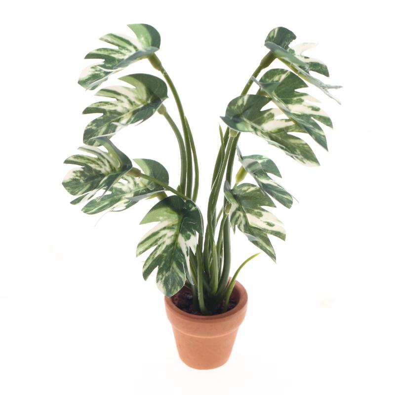 Plant Pot - Nuovo. 1 Pezzo Pianta Verde Monstera