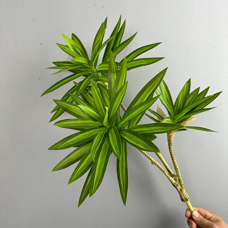 Snake Plant - Piante verdi simulate 3 teste di