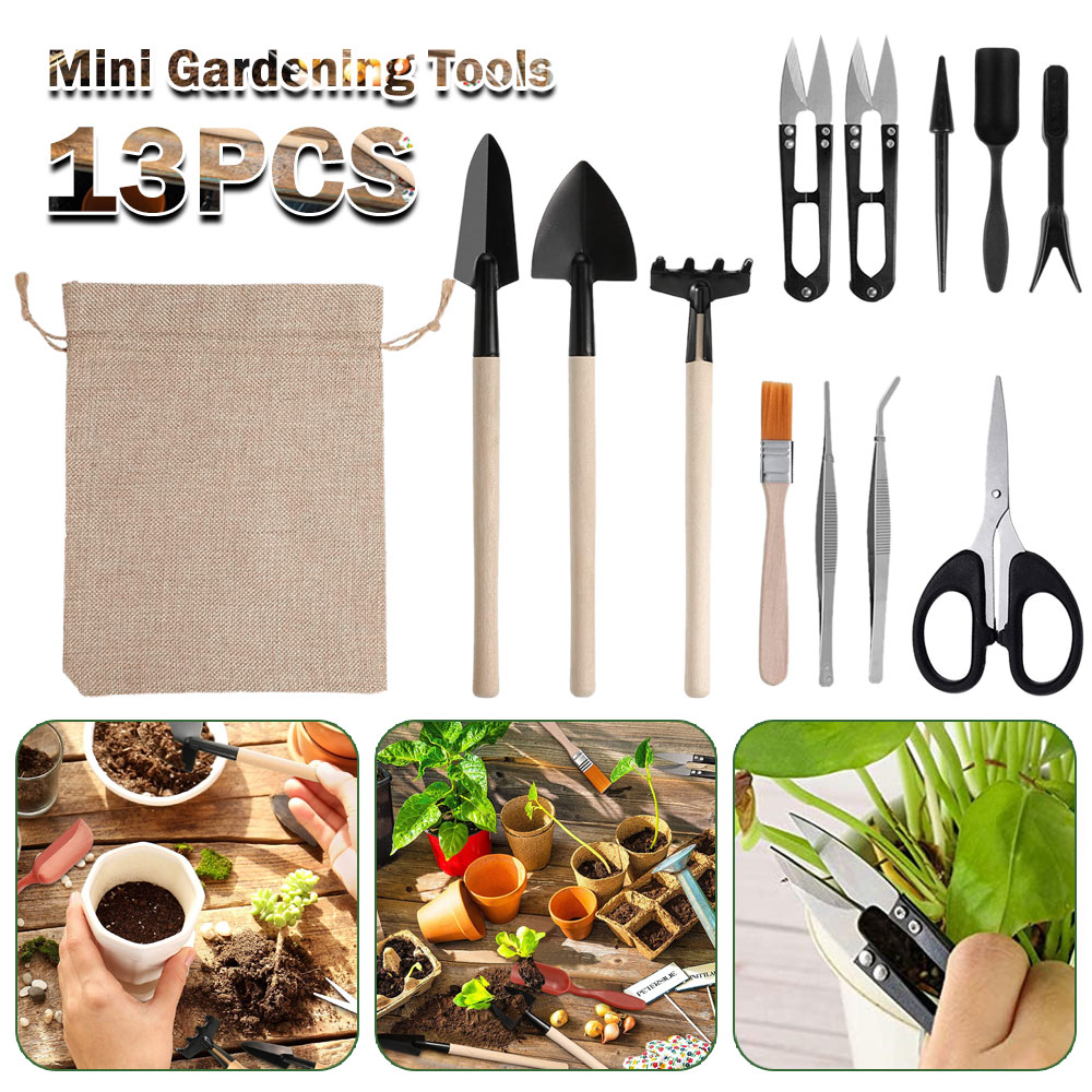 Succulent Set - Strumenti per piante grasse Mini utensili