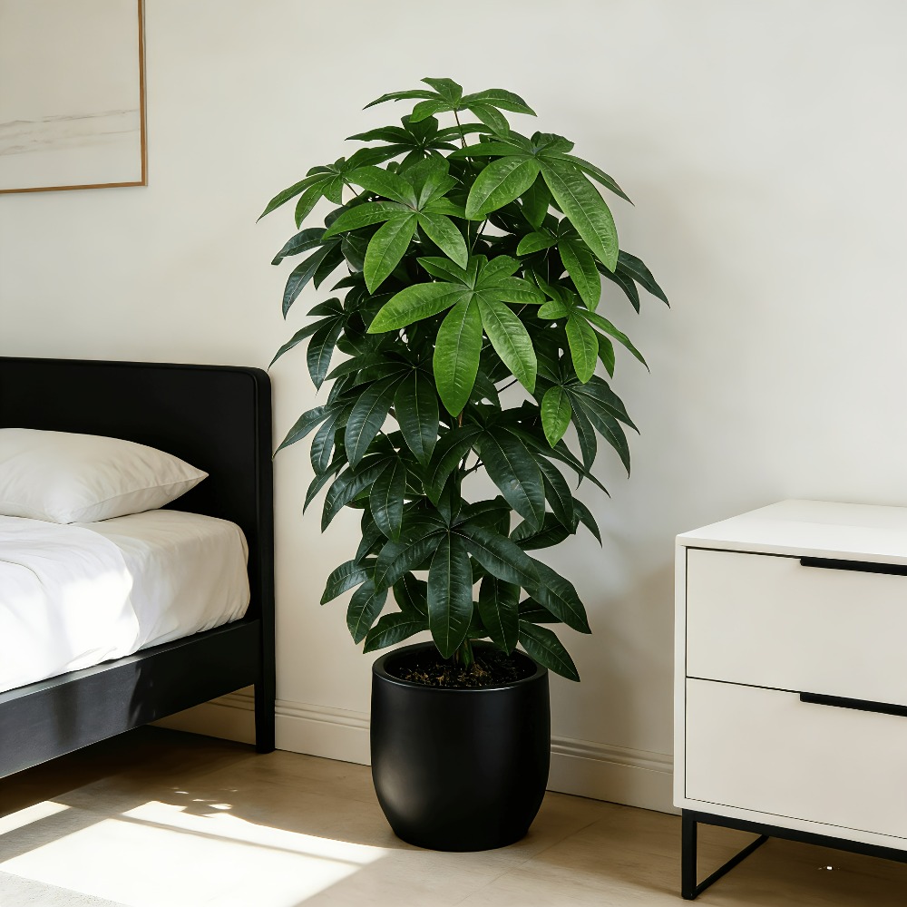 Snake Plant - Albero della Fortuna Artificiale Pachira Aquatica