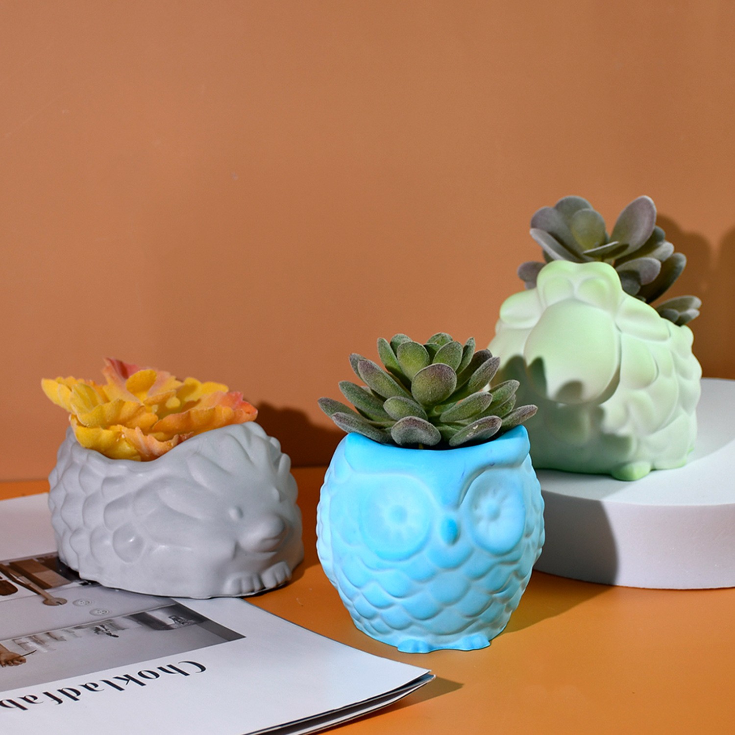 3D Animale Vaso di Fiori Stamp - Succulent Set recensione e prezzo