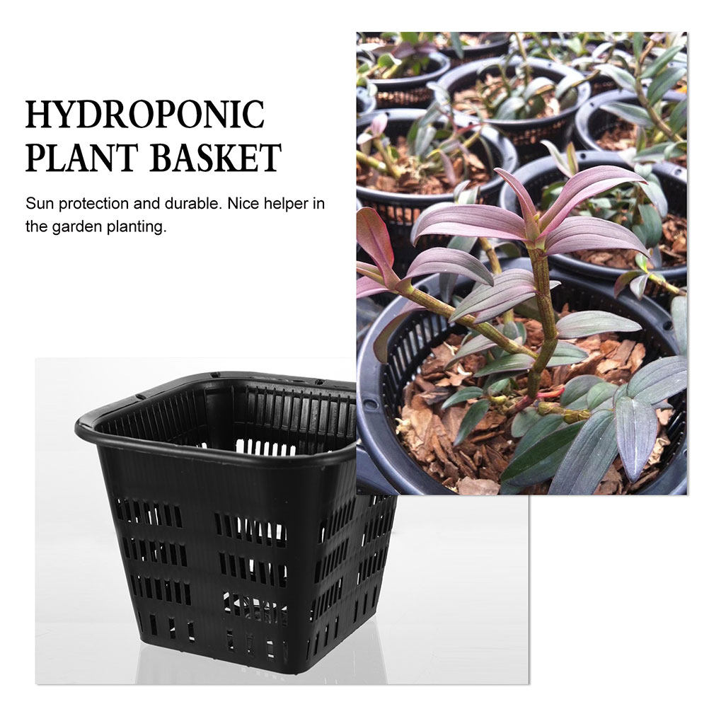 15 vasi per il controllo delle - Indoor Plants recensione e prezzo