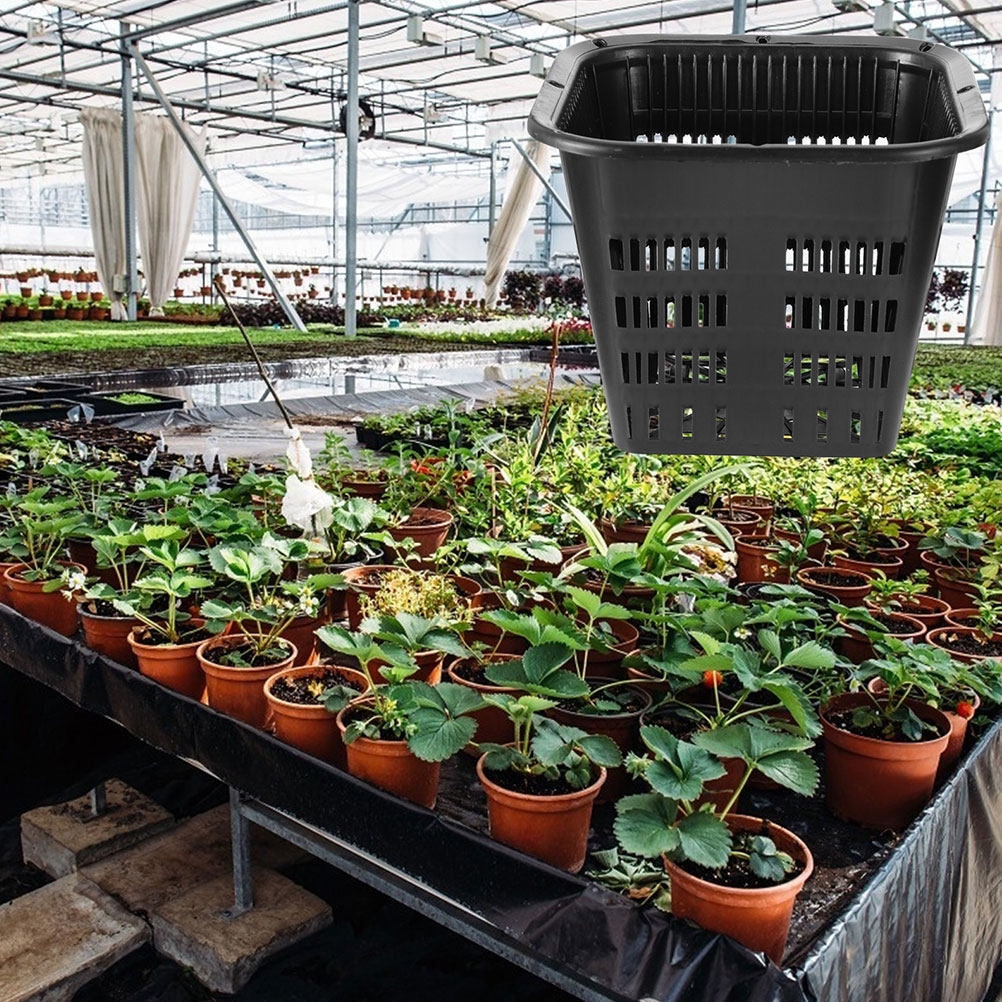 15 vasi per il controllo delle - Indoor Plants recensione e prezzo