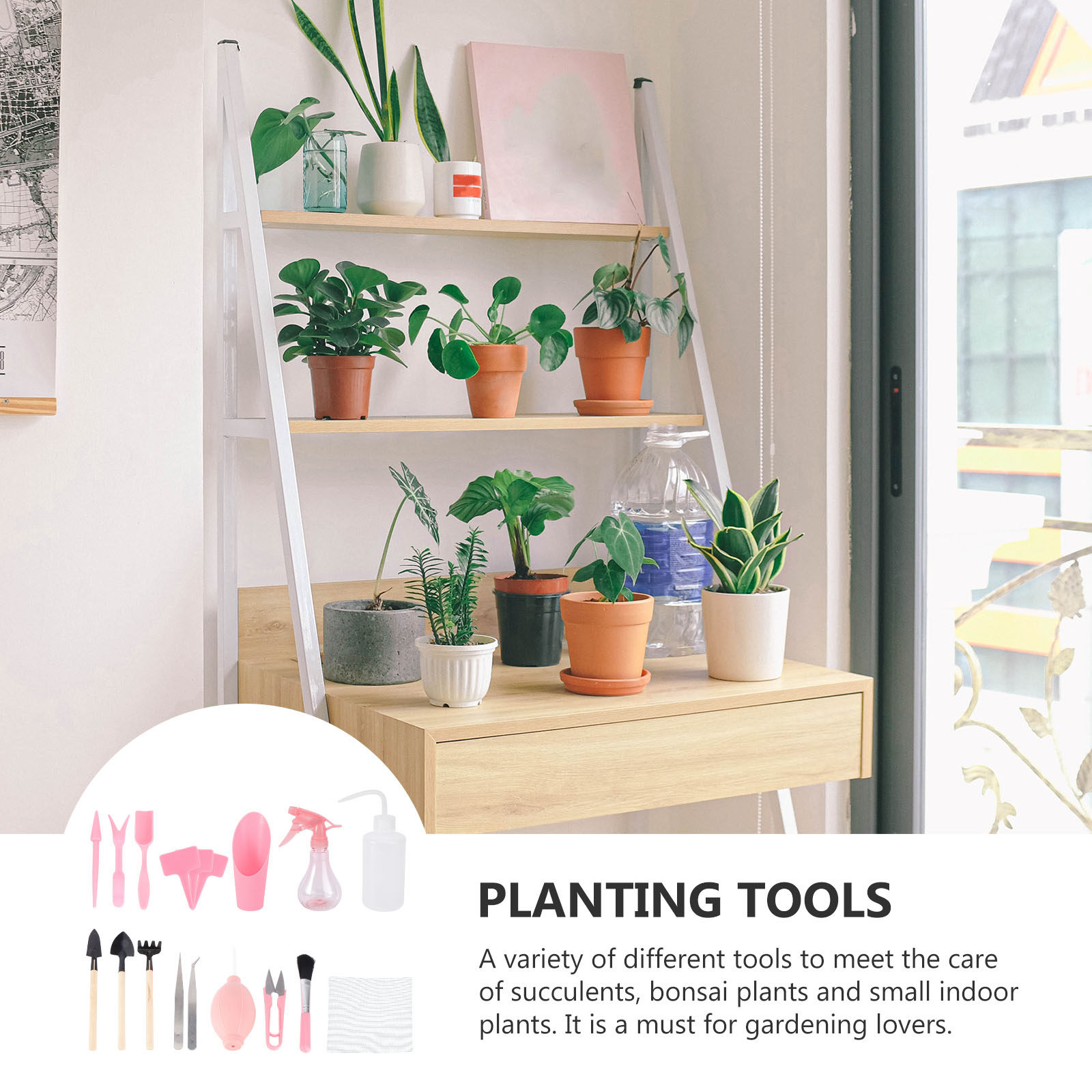 1 Set di Mini Attrezzi per la  - Succulent Set recensione e prezzo