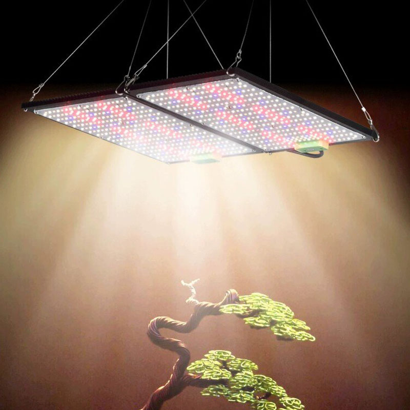 Lampada LED Quantum-Board per  - Indoor Plants recensione e prezzo