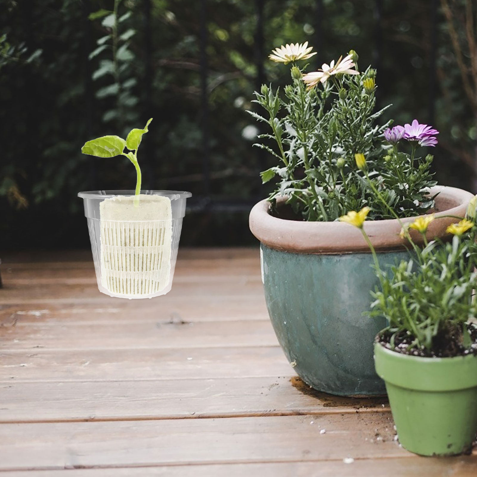 4 Pezzi Cestini per Piante Idr - Plant Pot recensione e prezzo
