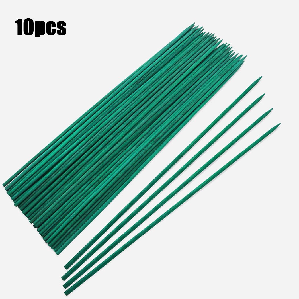 10pcs 40cm bastoncini di suppo - Plant Support Stake recensione e prezzo