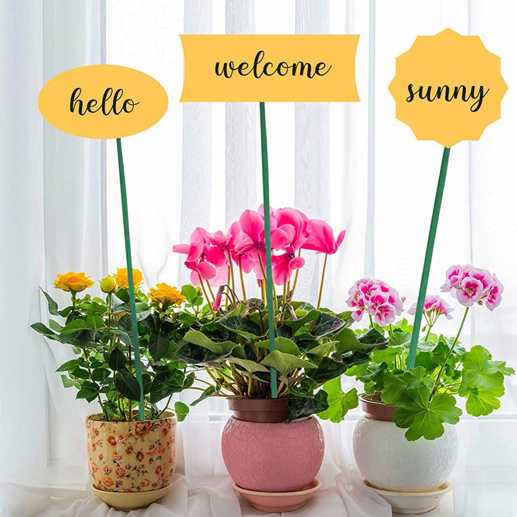 10pcs 40cm bastoncini di suppo - Plant Support Stake recensione e prezzo