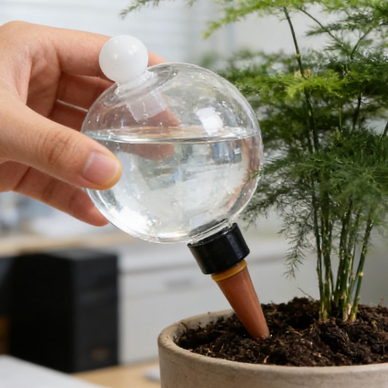 Globi per Irrigazione Piante 4 - Succulent Set recensione e prezzo