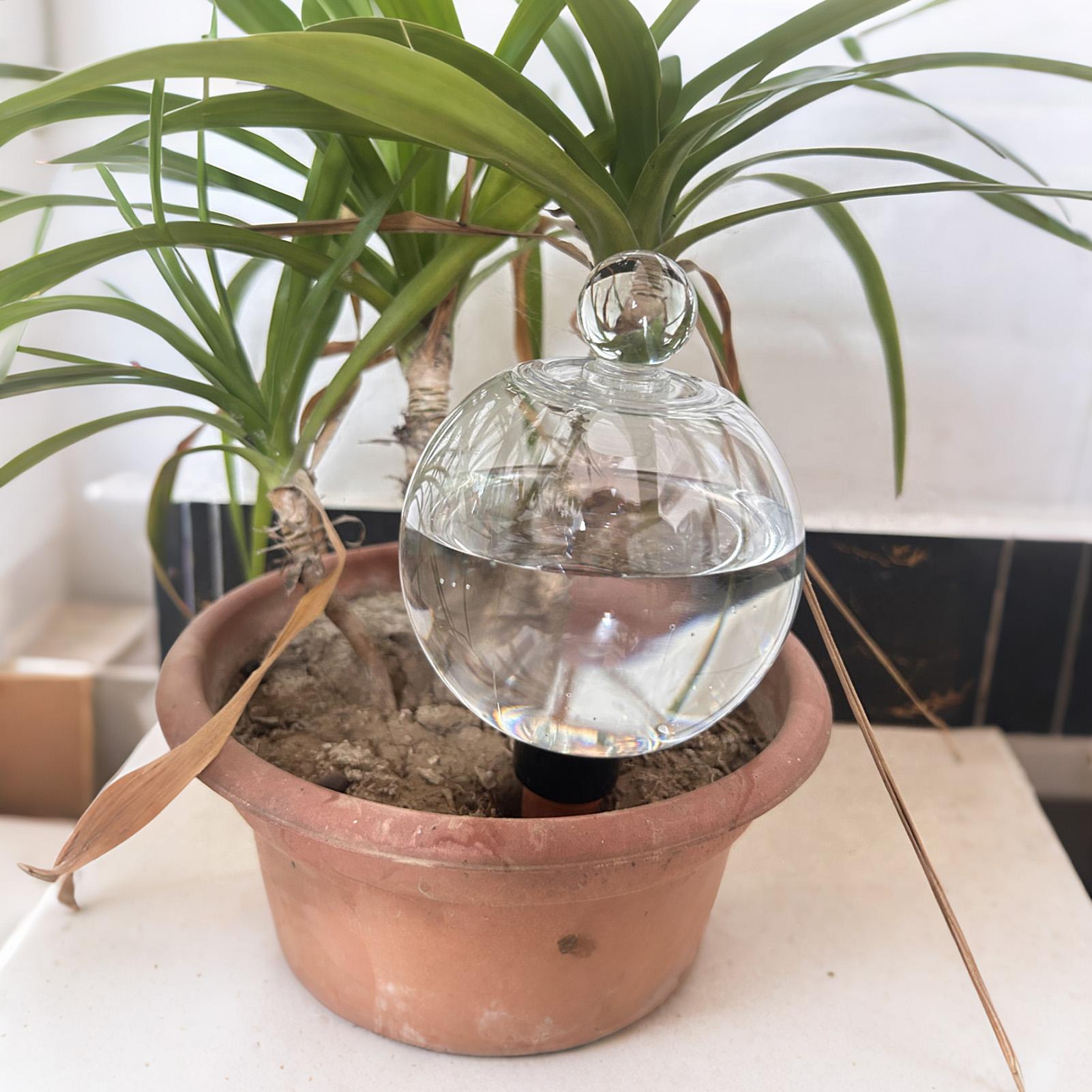 Globi per Irrigazione Piante 4 - Succulent Set recensione e prezzo