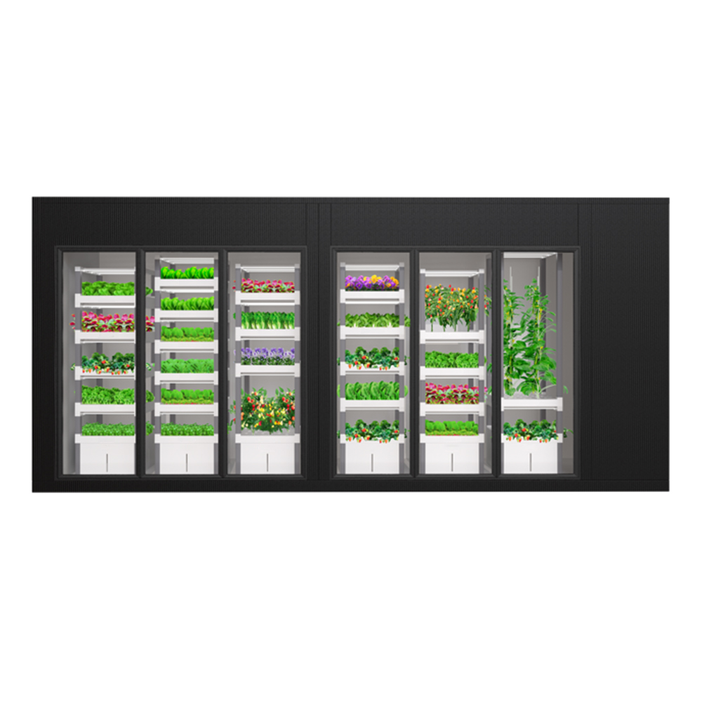 Sistema Idroponico Intelligent - Indoor Plants recensione e prezzo