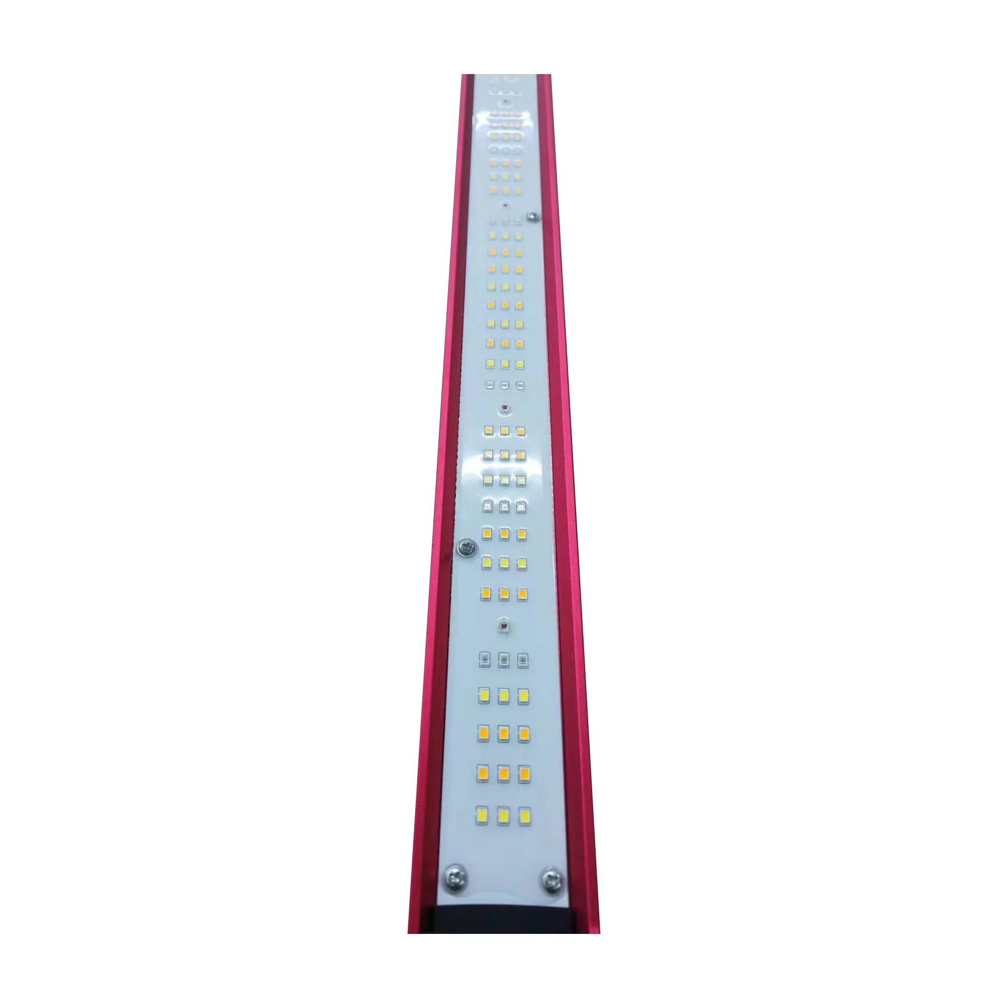 Lampada LED a Spettro Completo - Indoor Plants recensione e prezzo