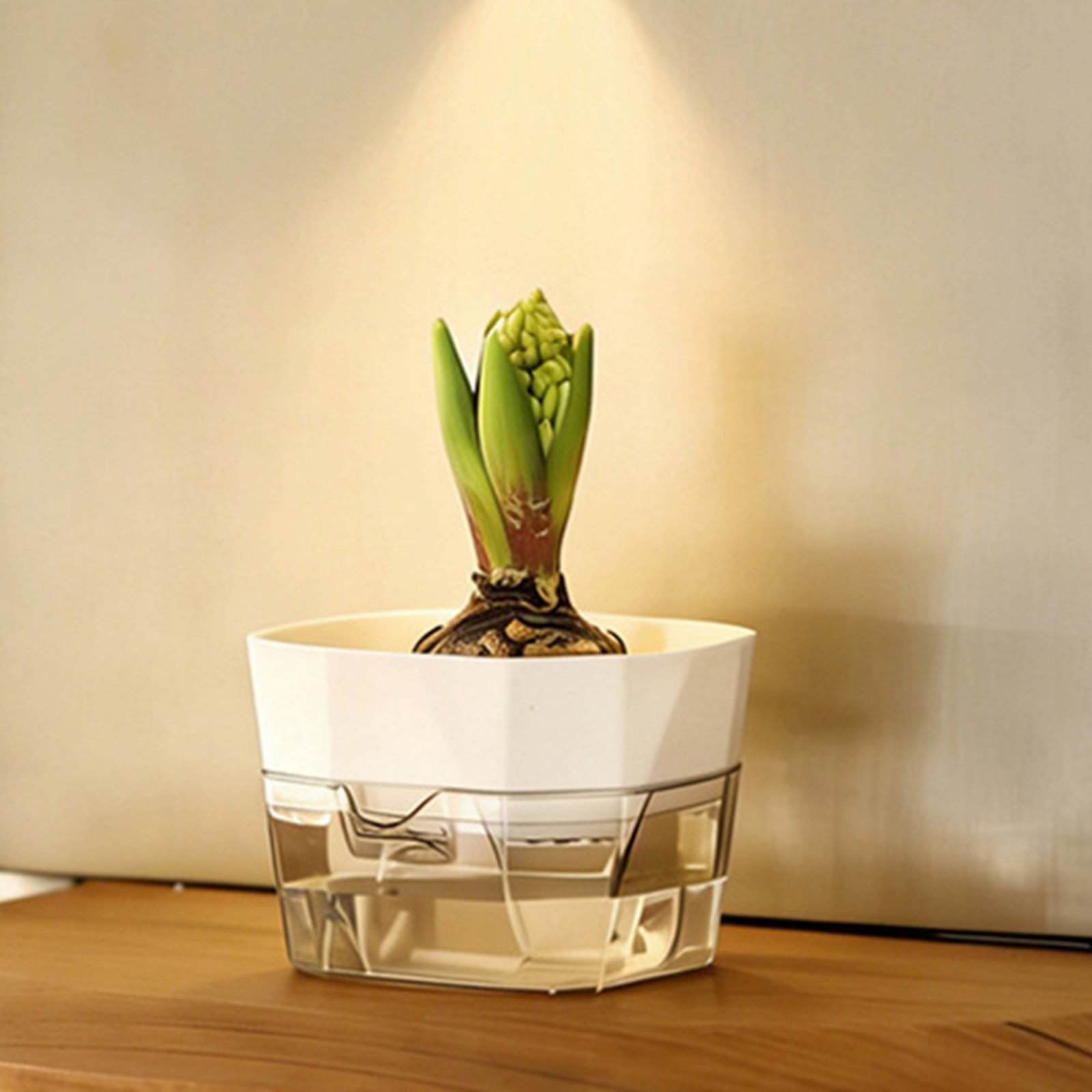 Vaso Idroponico a 2 Livelli pe - Plant Pot recensione e prezzo