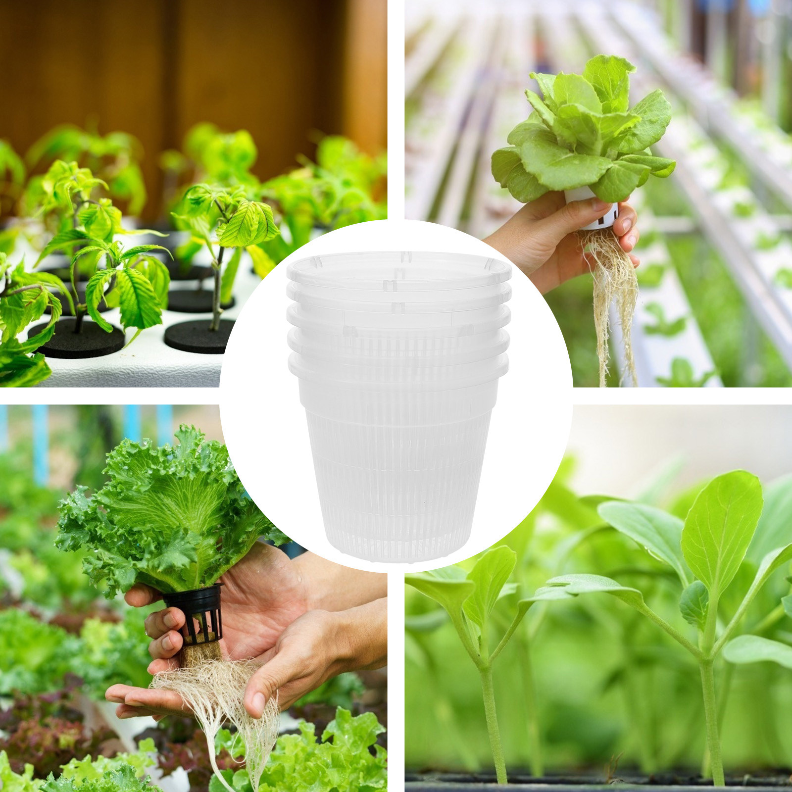 5 vasi a rete per coltivazione - Indoor Plants recensione e prezzo