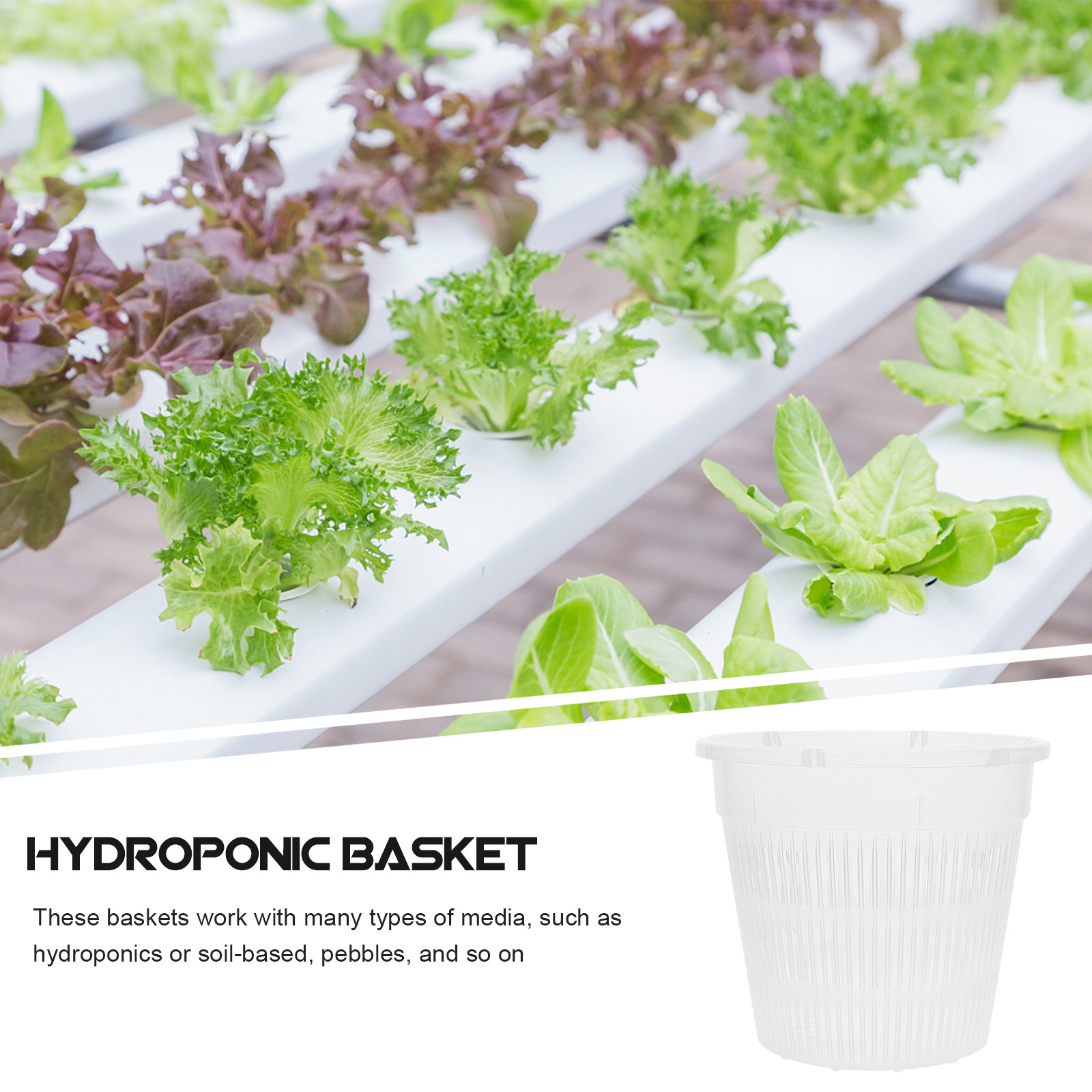 5 vasi a rete per coltivazione - Indoor Plants recensione e prezzo