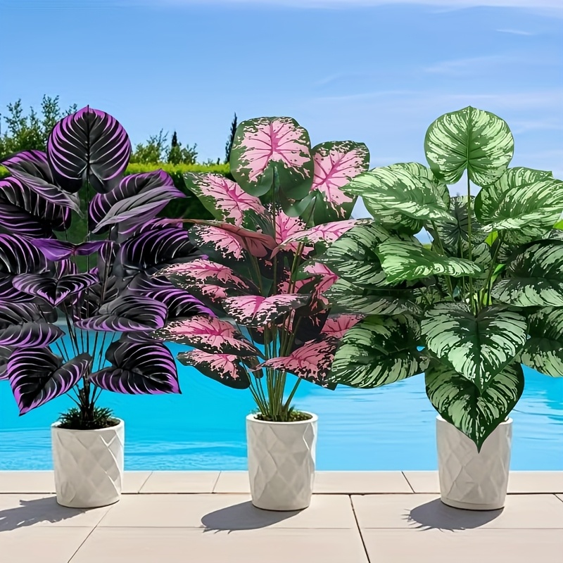 3 pz 60 cm Grande Pianta Verde - Snake Plant recensione e prezzo