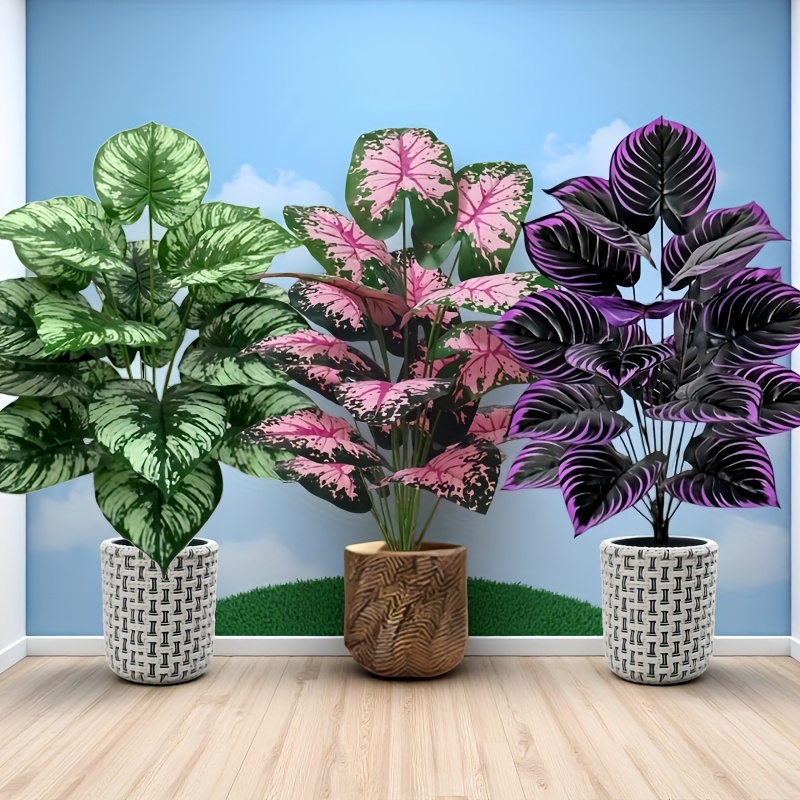 3 pz 60 cm Grande Pianta Verde - Snake Plant recensione e prezzo