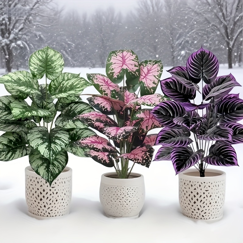 3 pz 60 cm Grande Pianta Verde - Snake Plant recensione e prezzo