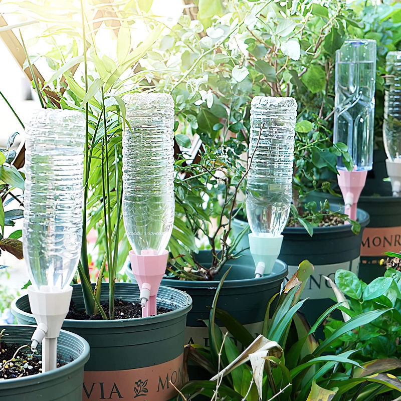 Sistema automatico di irrigazi - Pothos recensione e prezzo