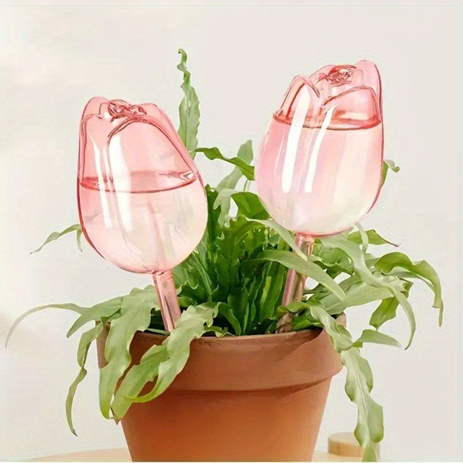 Irrigatore a rilascio lento a  - Pothos recensione e prezzo
