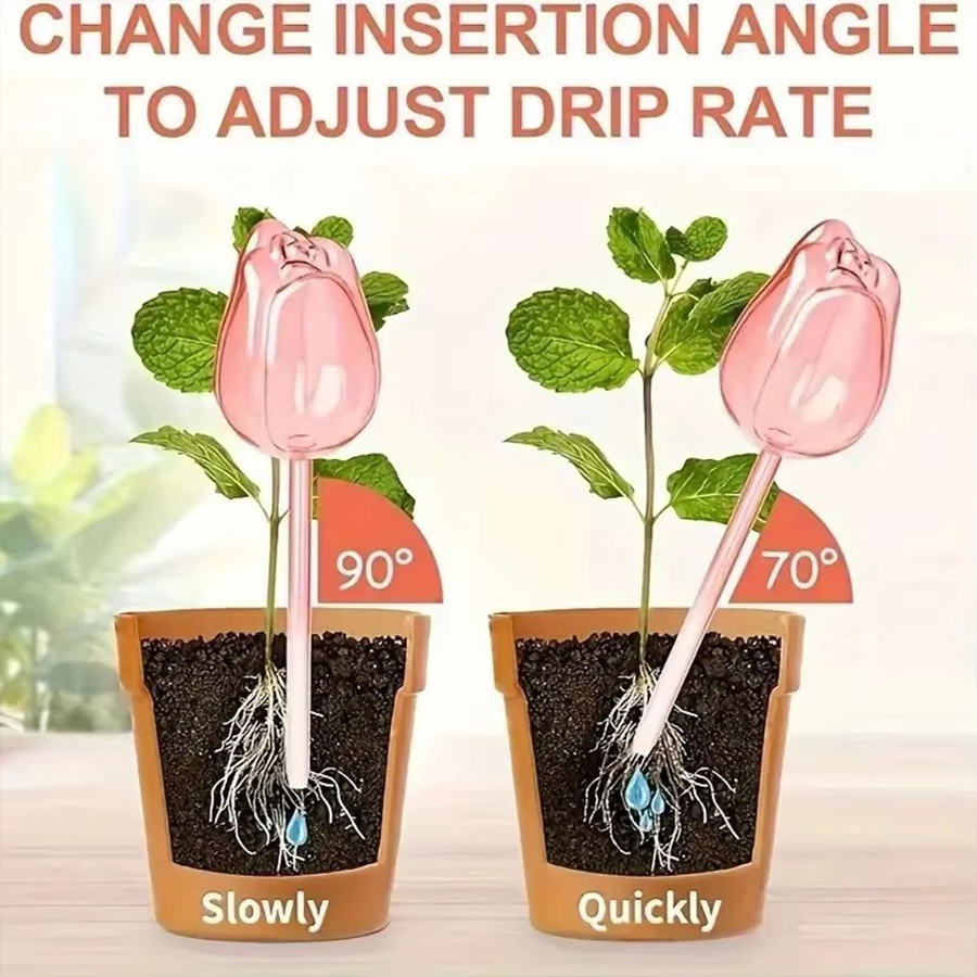 Irrigatore a rilascio lento a  - Pothos recensione e prezzo