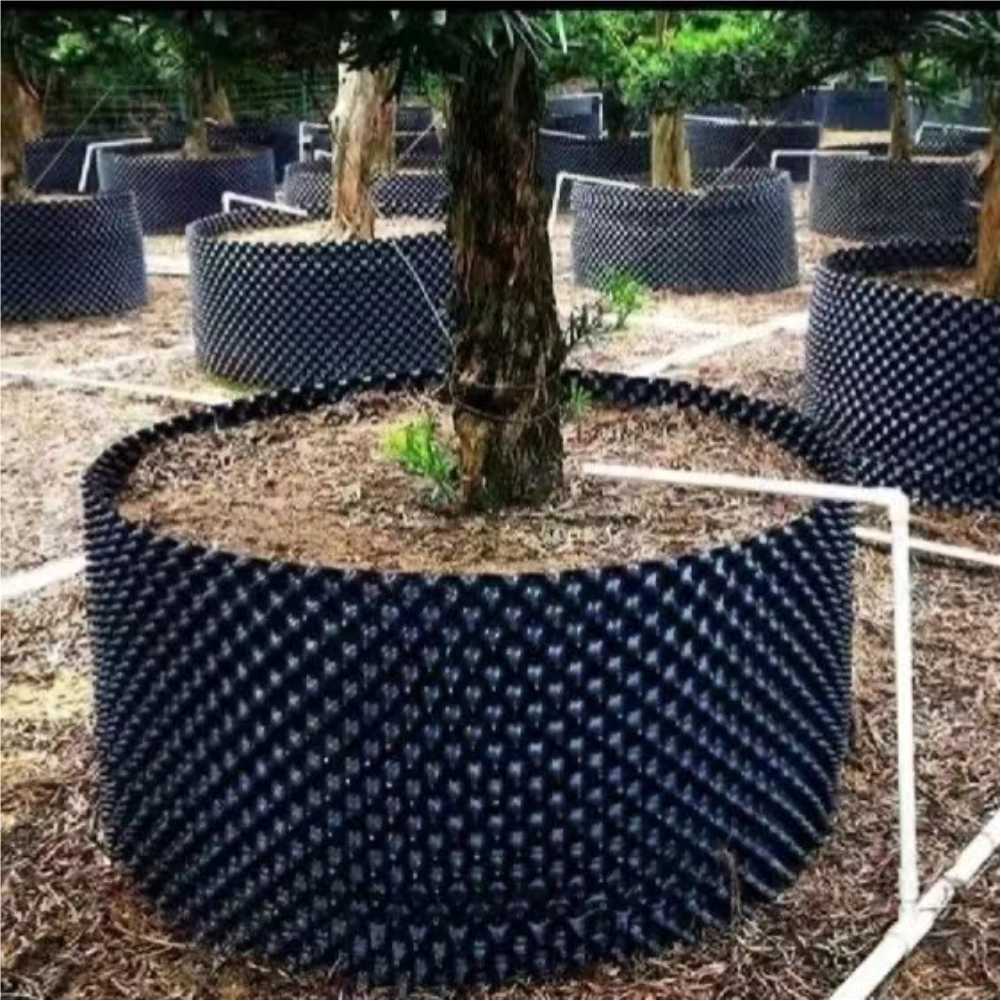 Vaso da Coltivazione per Bonsa - Plant Pot recensione e prezzo
