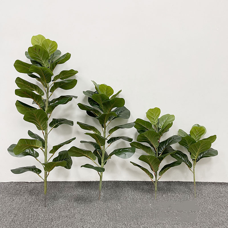 59in grande albero di Ficus pi - Fiddle Leaf Fig recensione e prezzo