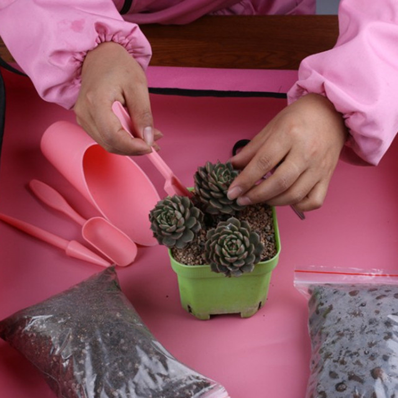 4 Pz/set Giardino Fioriera Kit - Succulent Set recensione e prezzo