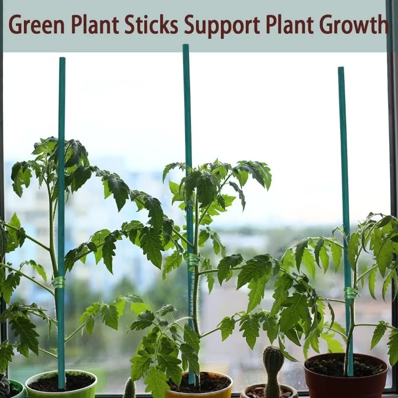 Supporti per Piante, Canne in  - Plant Support Stake recensione e prezzo
