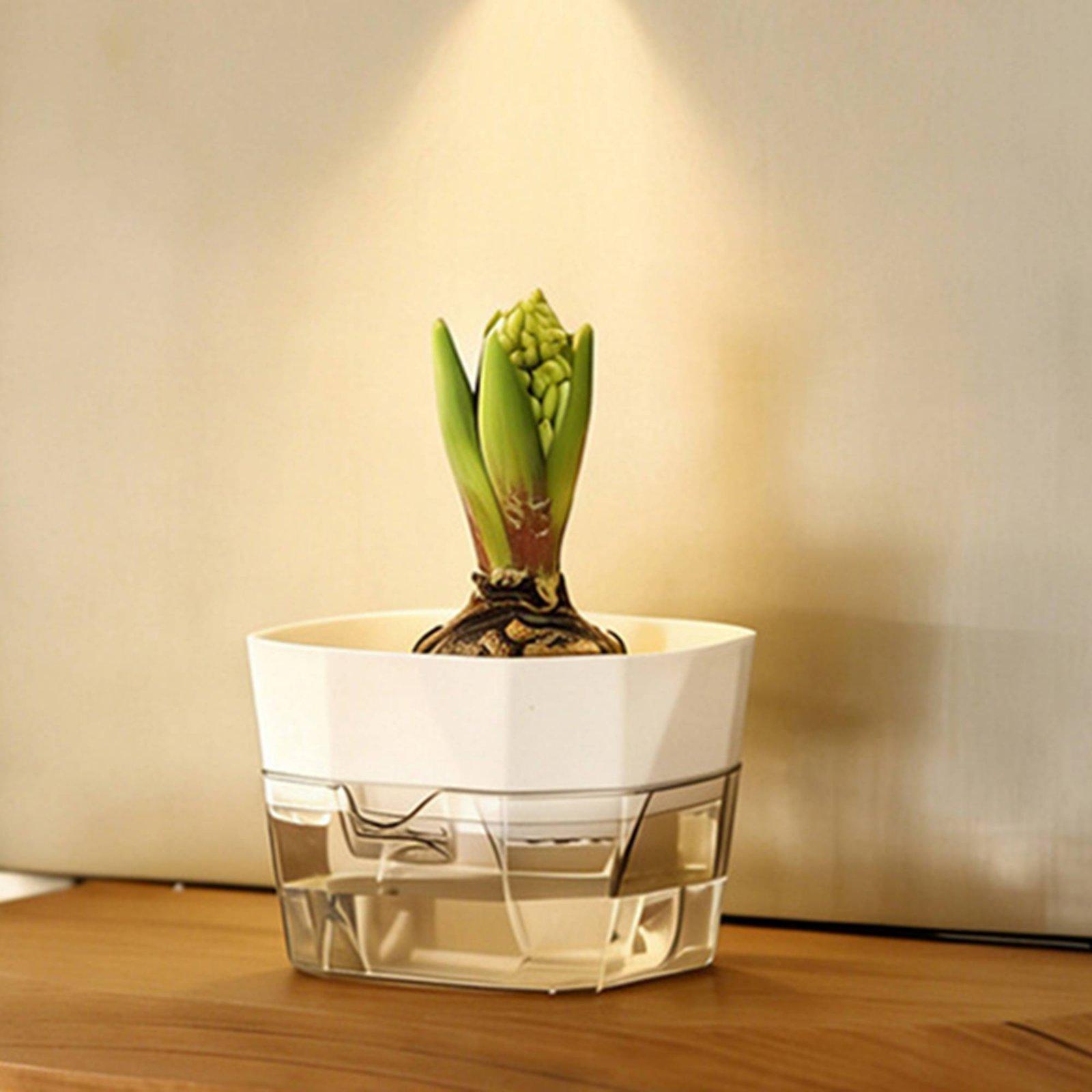 Vaso Idroponico a Due Strati c - Indoor Plants recensione e prezzo