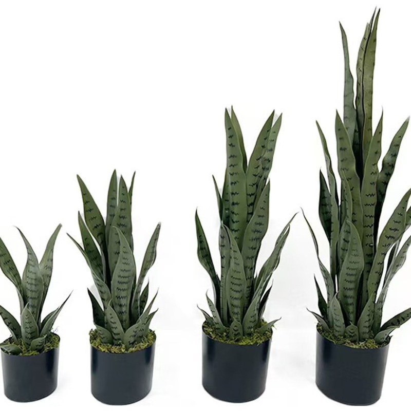 Pianta Artificiale Sansevieria - Snake Plant recensione e prezzo