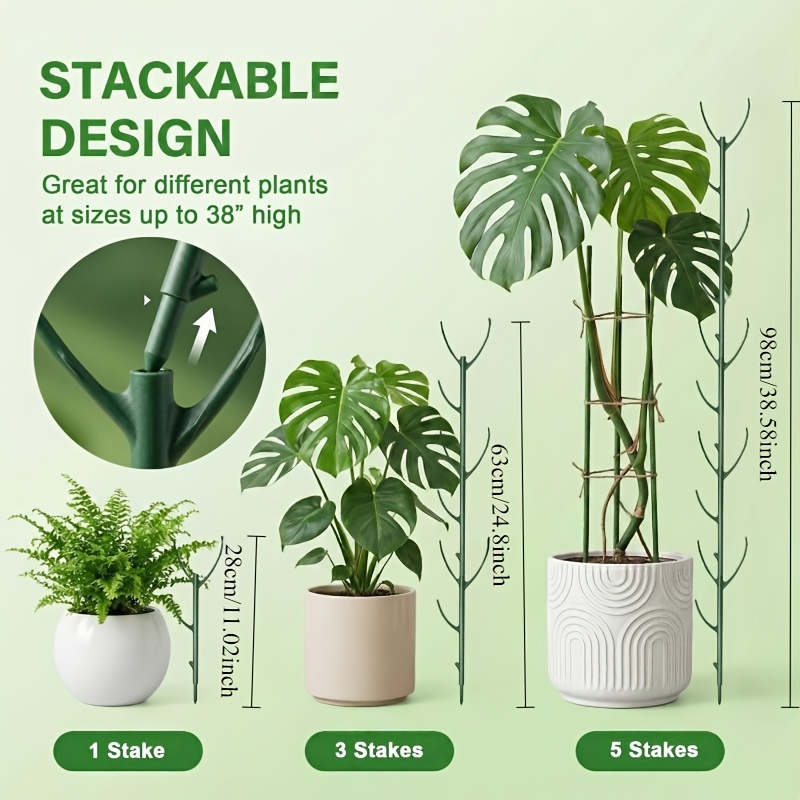 Supporti per Piante Monstera,  - Plant Support Stake recensione e prezzo