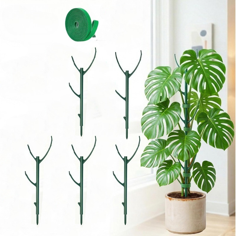 Supporti per Piante Monstera,  - Plant Support Stake recensione e prezzo