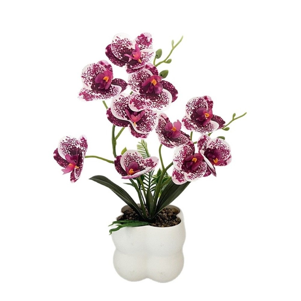 Orchidea a Farfalla Simulata M - Fiddle Leaf Fig recensione e prezzo