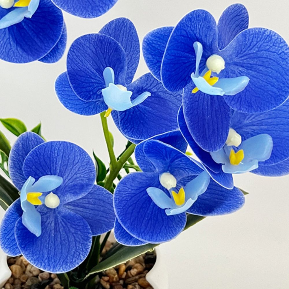 Orchidea a Farfalla Simulata M - Fiddle Leaf Fig recensione e prezzo