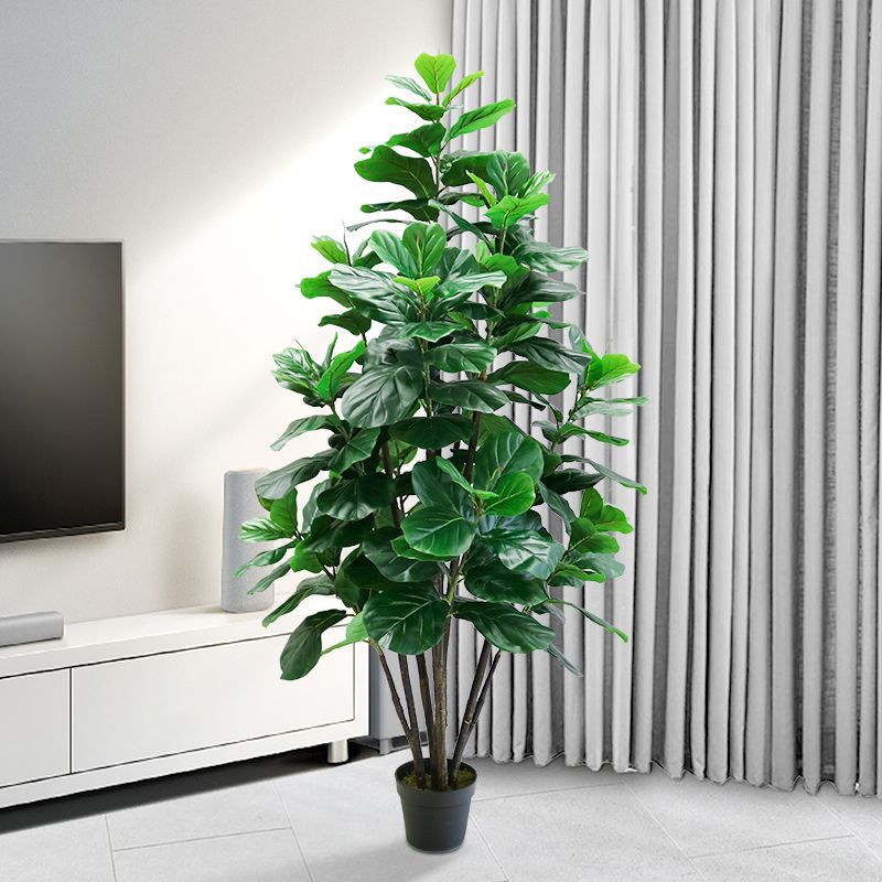 Pianta Artificiale di Ficus Ly - Fiddle Leaf Fig recensione e prezzo