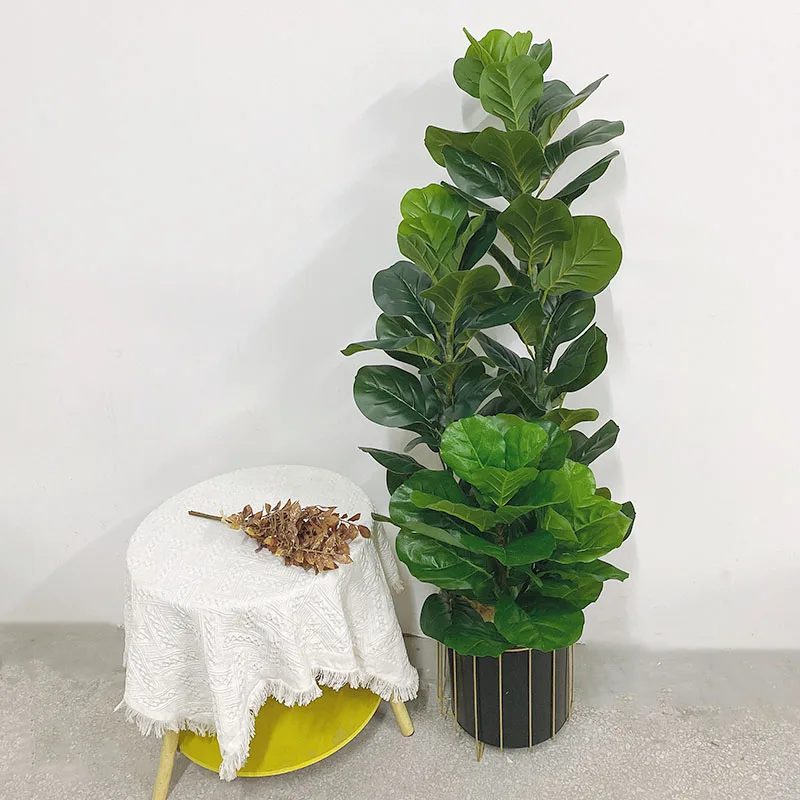 Pianta Artificiale di Ficus Ly - Fiddle Leaf Fig recensione e prezzo