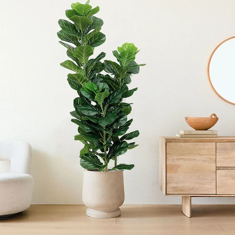 Pianta Artificiale di Ficus Ly - Fiddle Leaf Fig recensione e prezzo