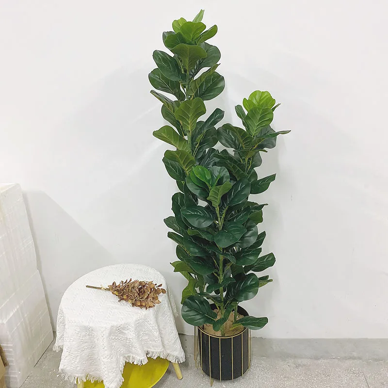 Pianta Artificiale di Ficus Ly - Fiddle Leaf Fig recensione e prezzo